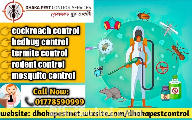 Termite Control Dhaka Bangladesh
